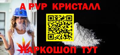 спайс Кингисепп